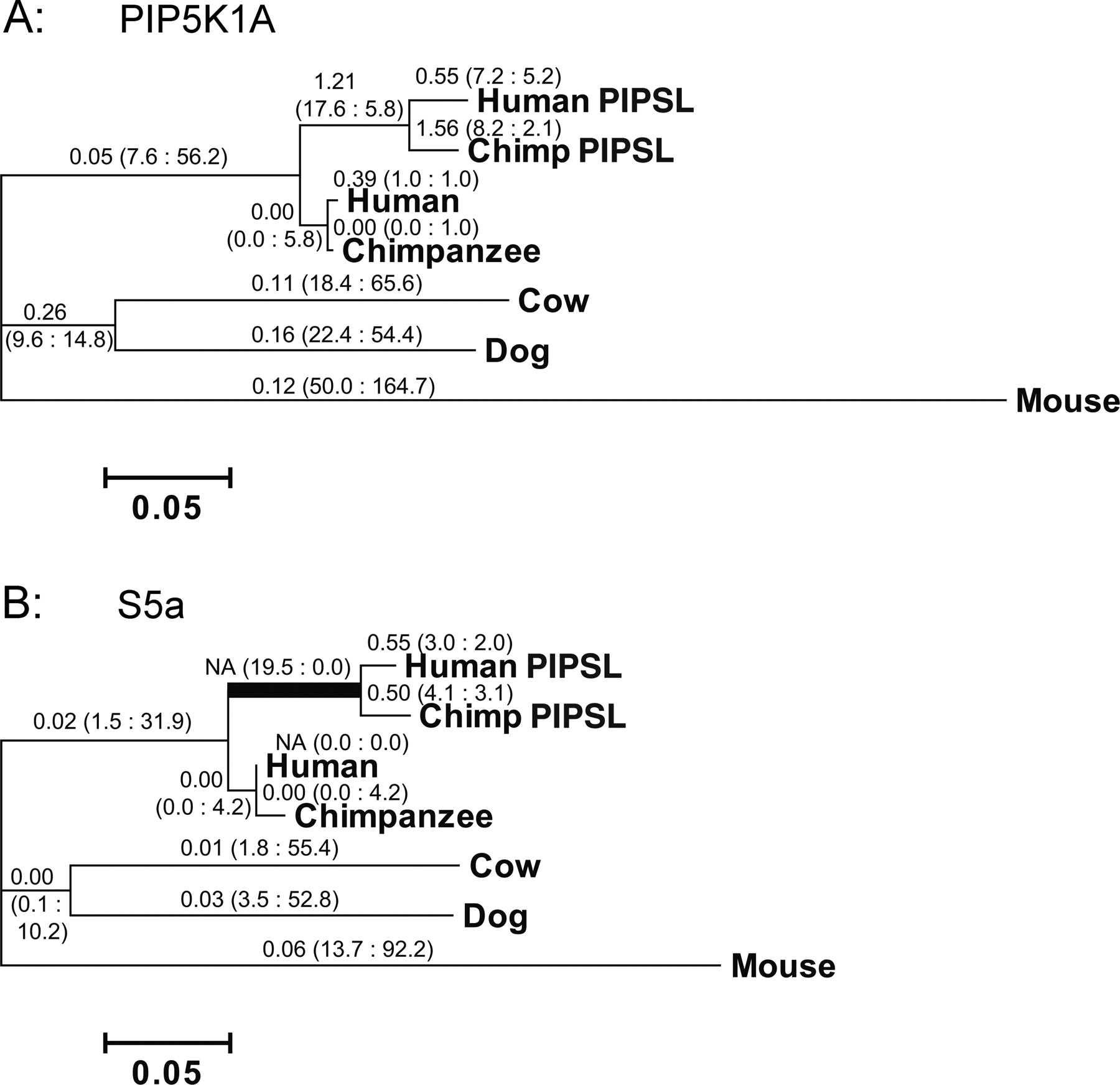 1129fig3