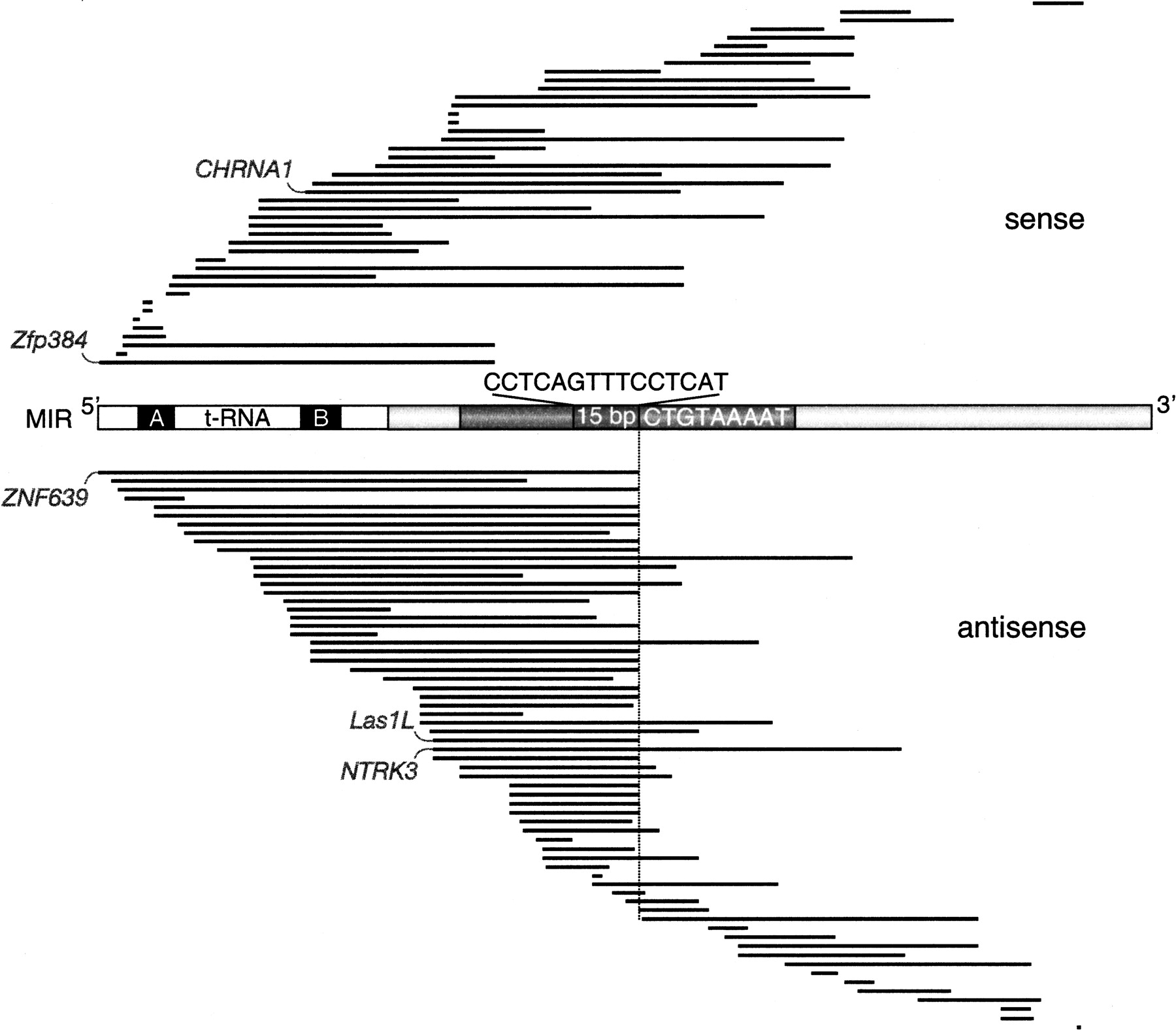 1139fig1