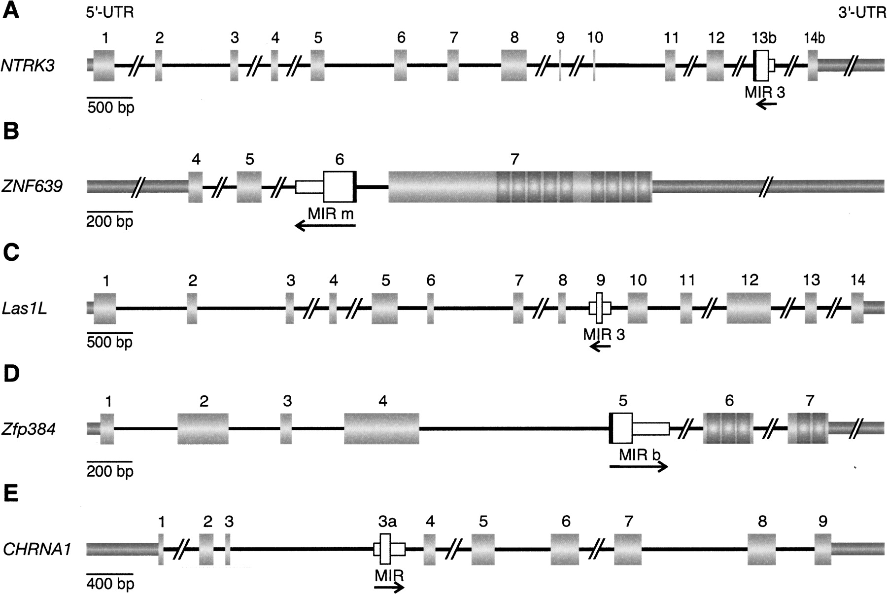 1139fig2