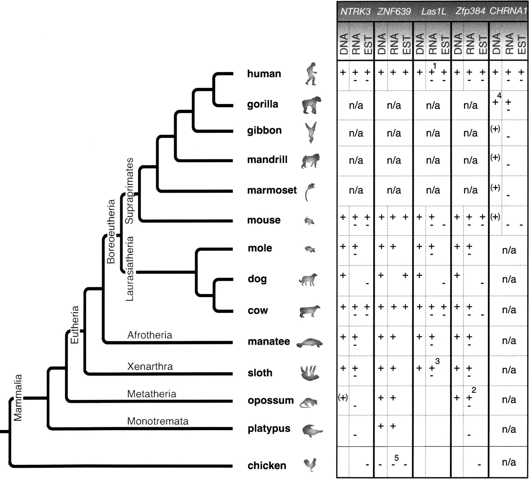 1139fig3