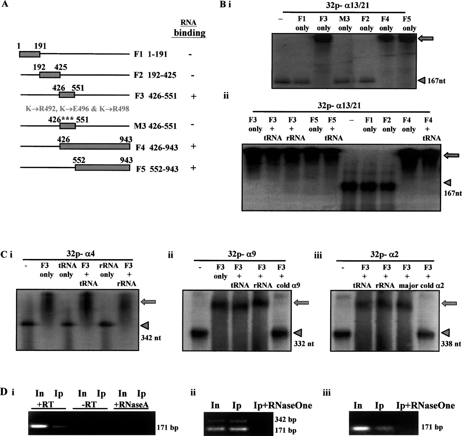 1146fig3
