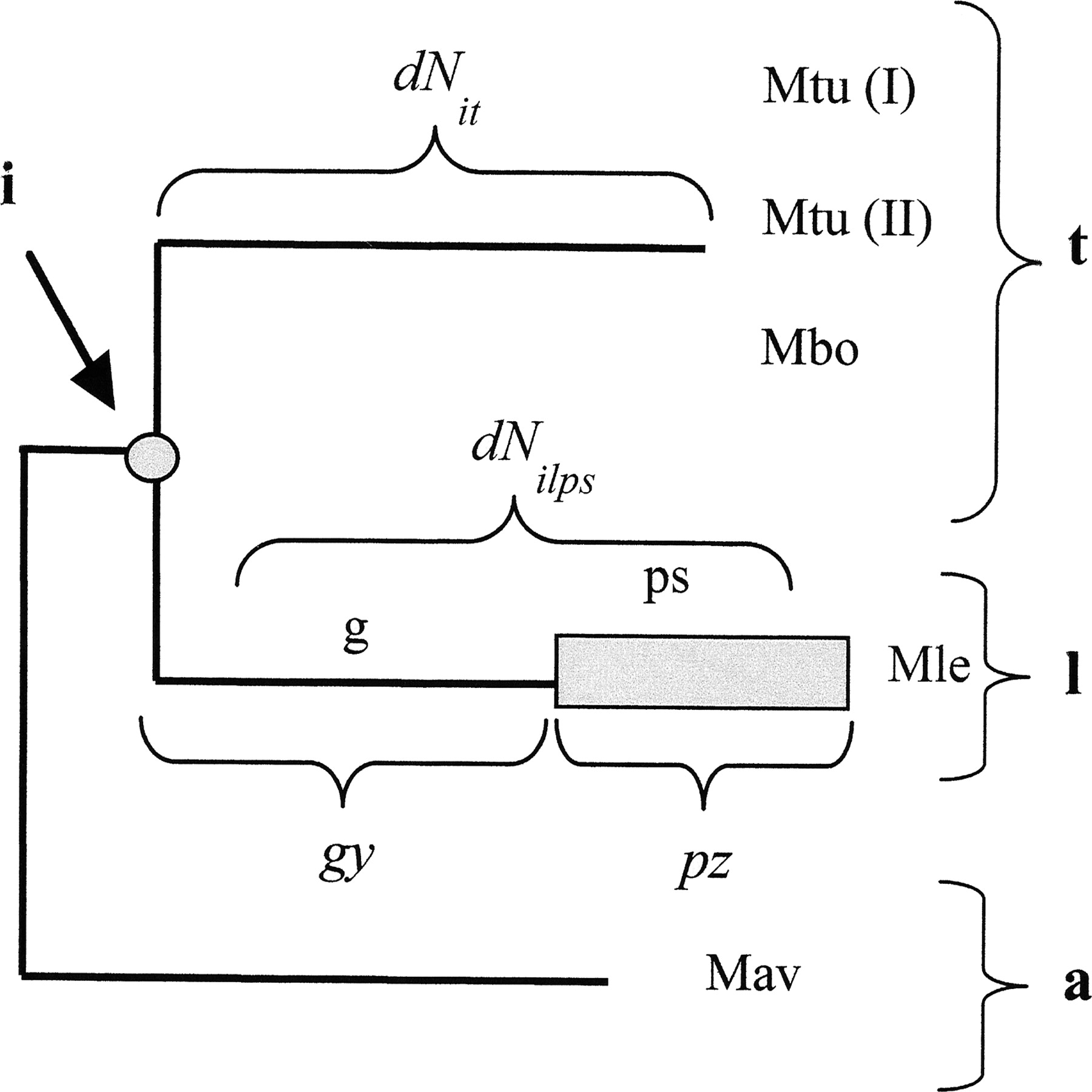 1178fig3