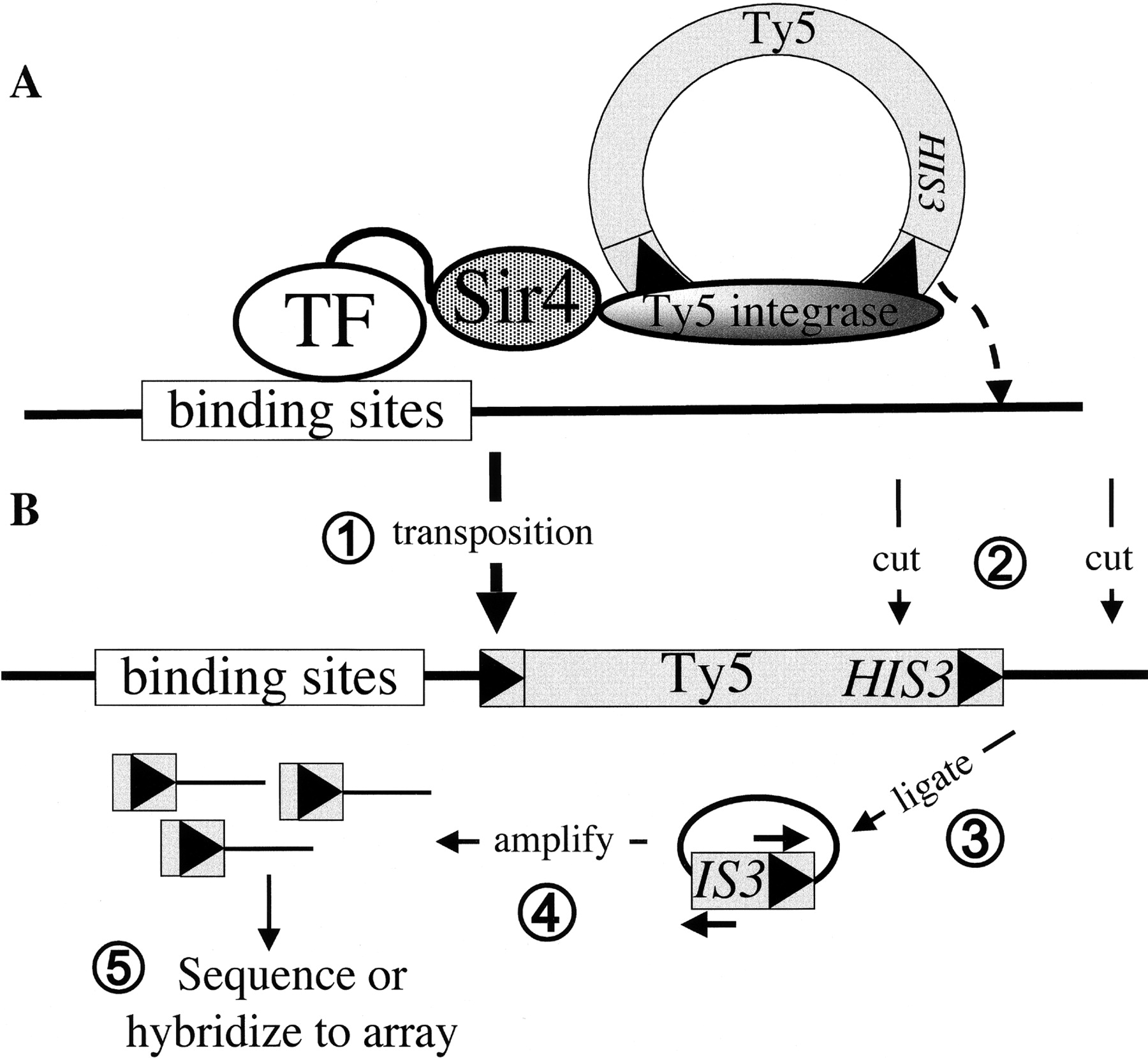 1202fig1