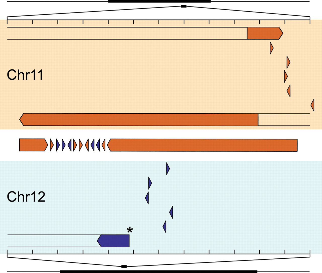 1296fig3