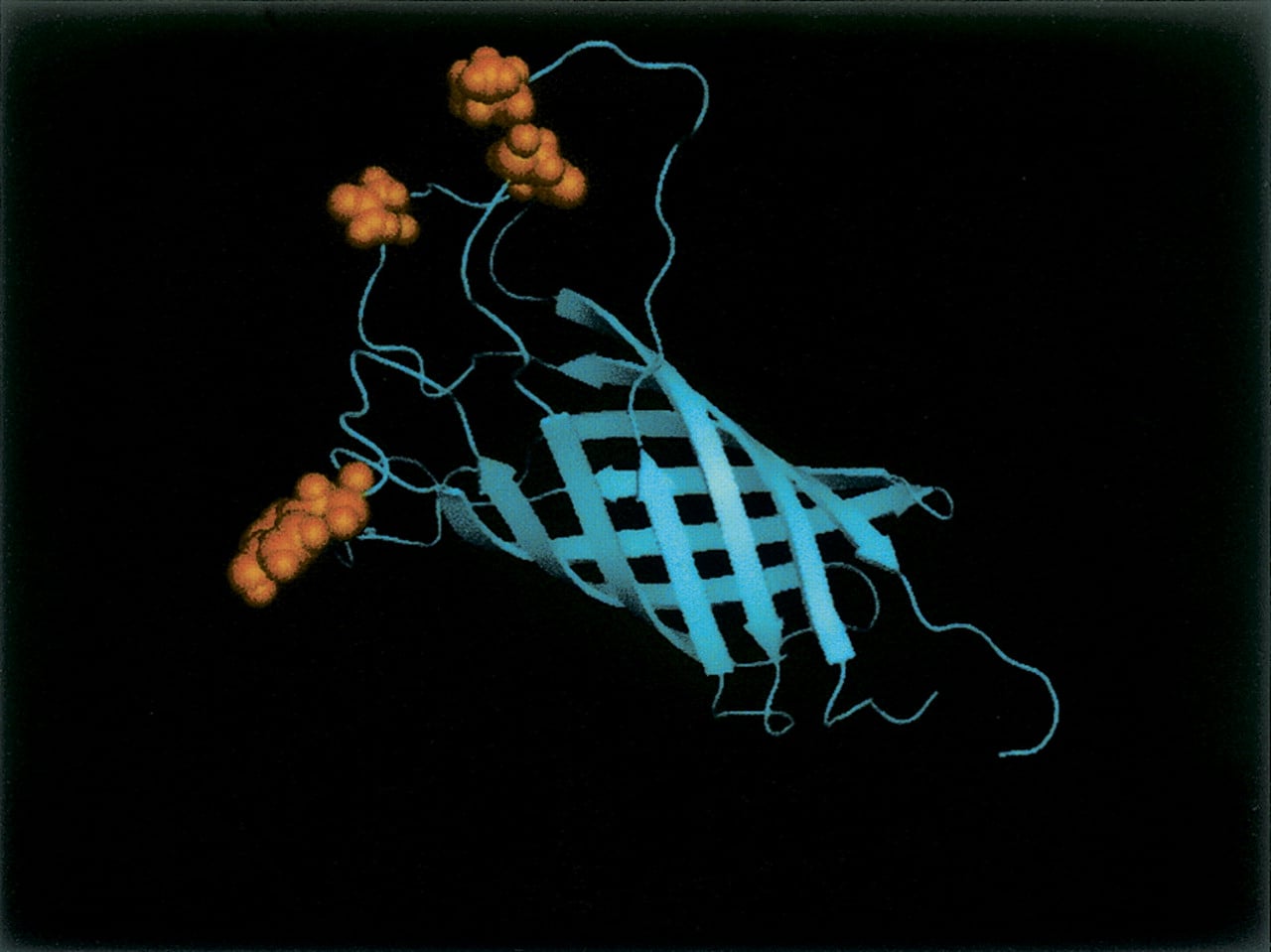1336fig2