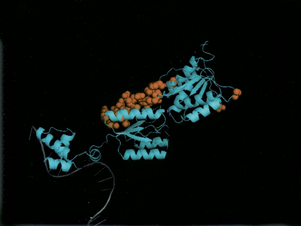 1336fig3