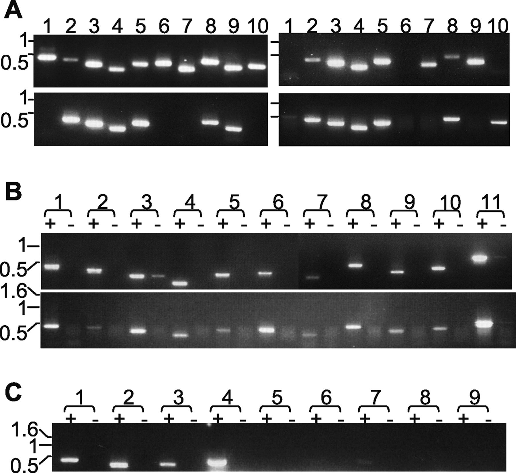 1344fig4