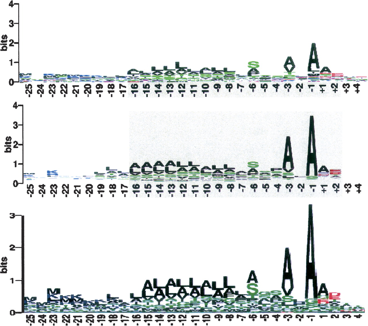 1362fig11