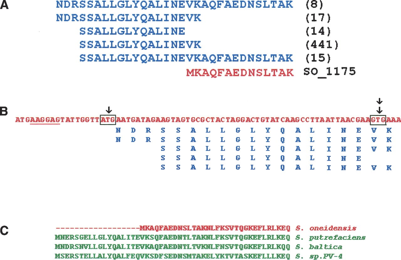 1362fig4