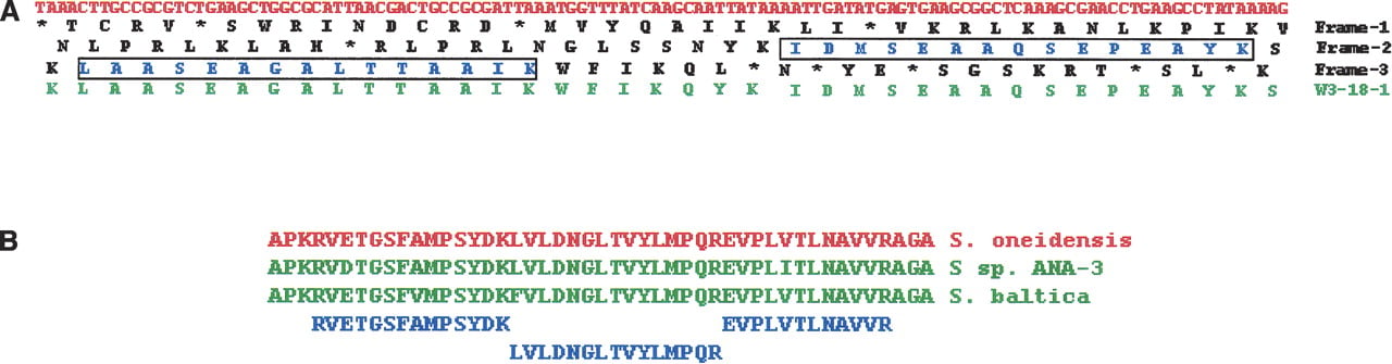 1362fig6