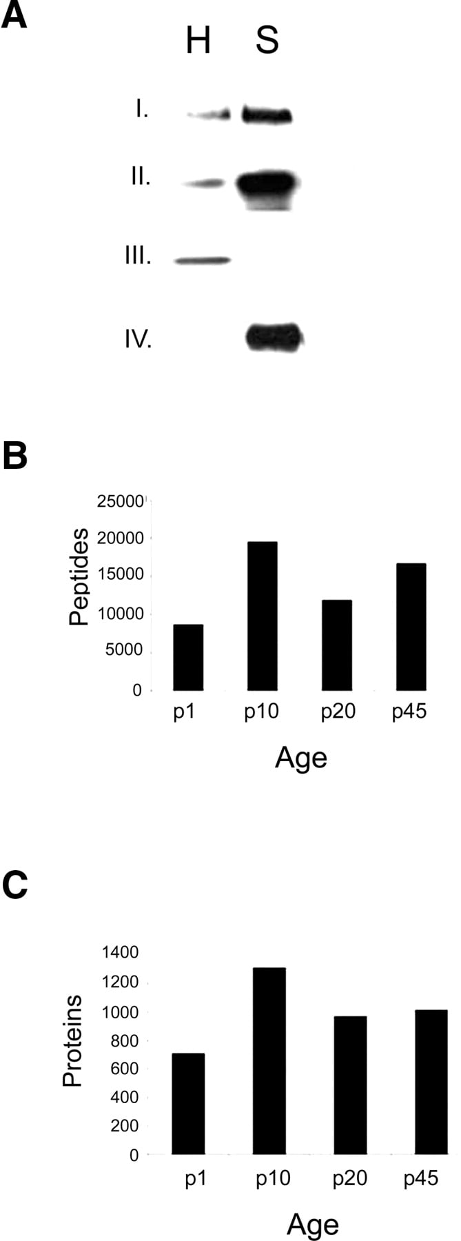1378fig2