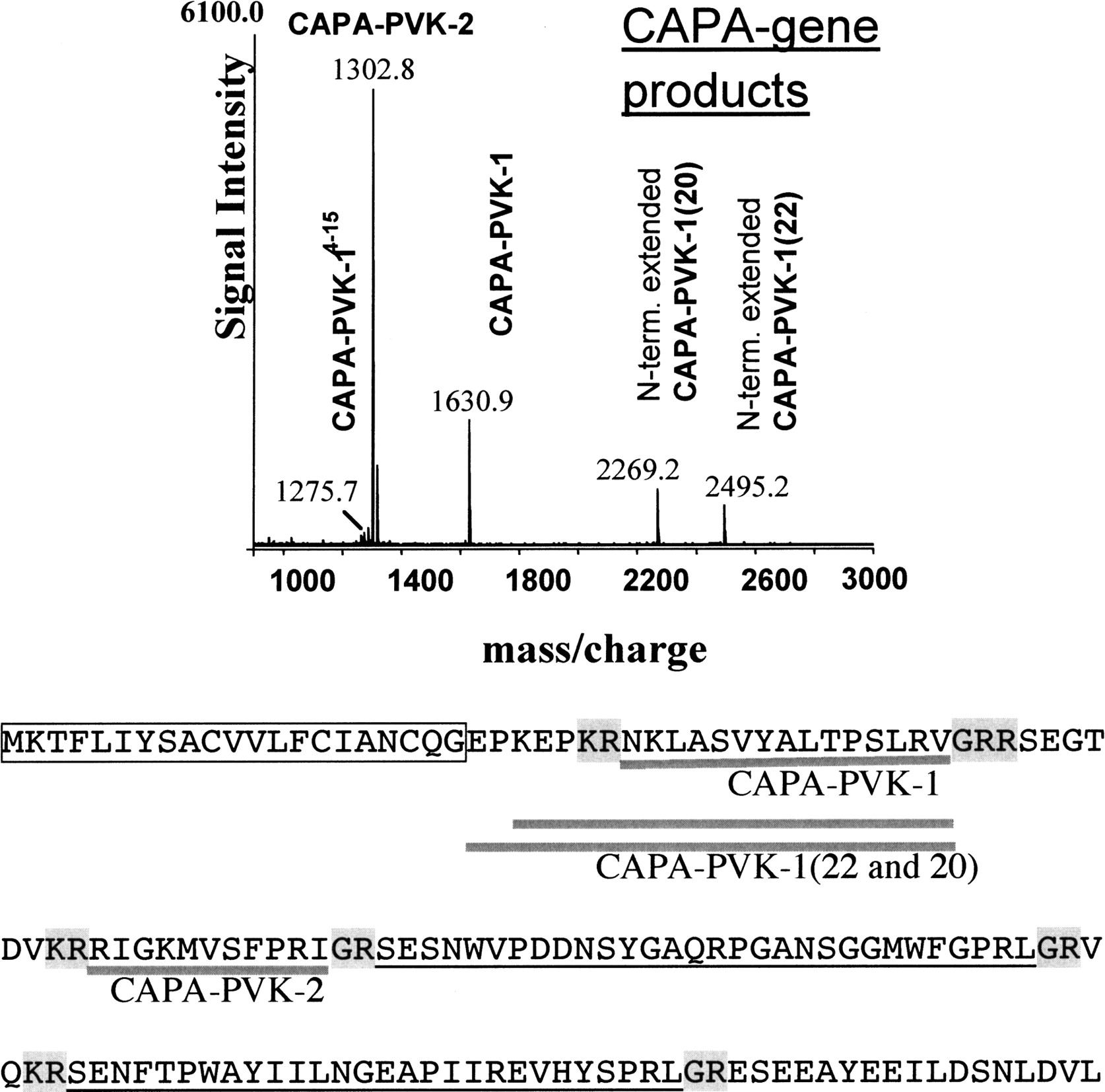 113fig1