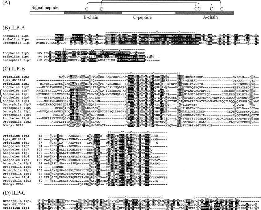 113fig2