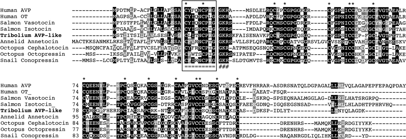 113fig4