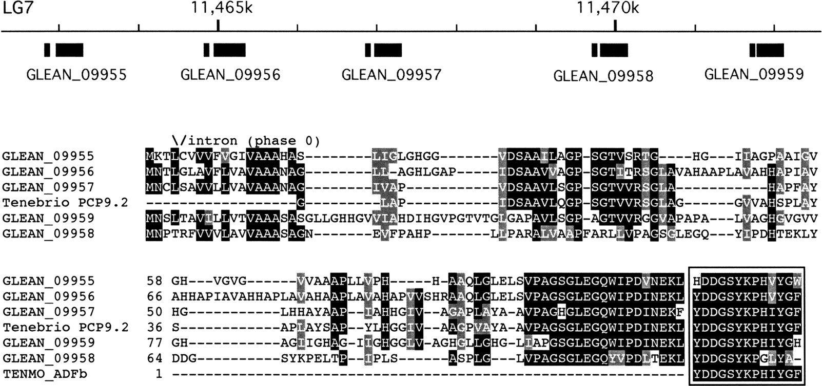 113fig5