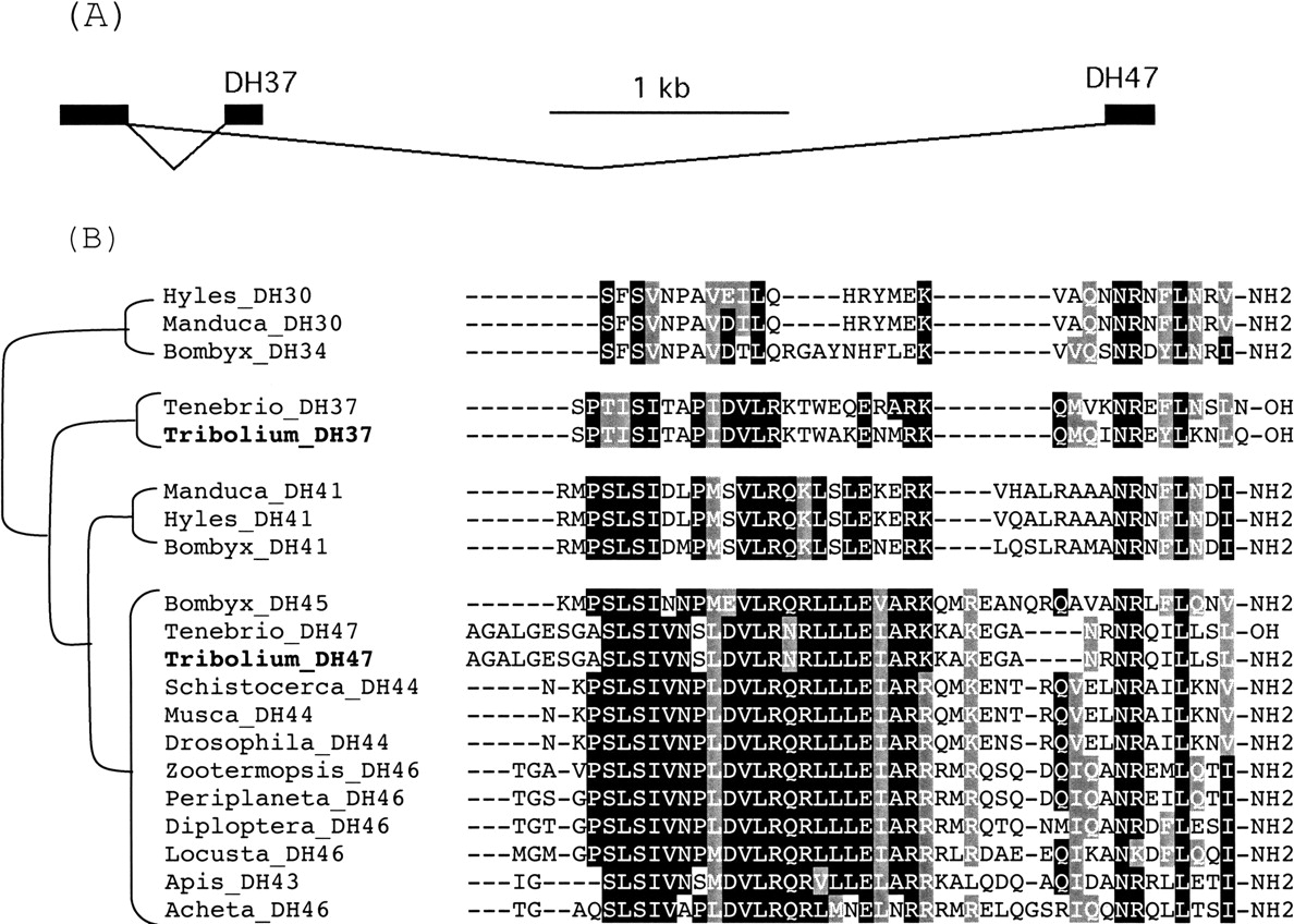 113fig6