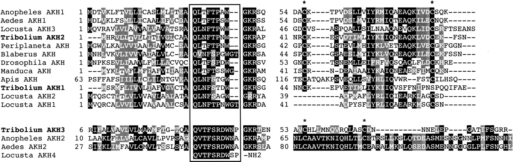 113fig7