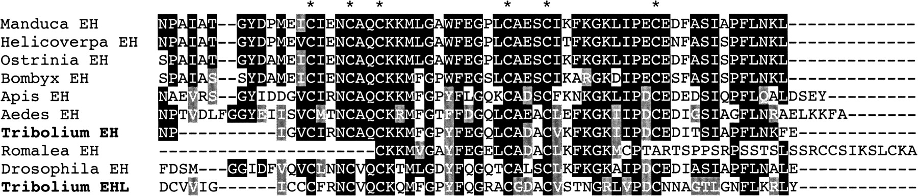 113fig8