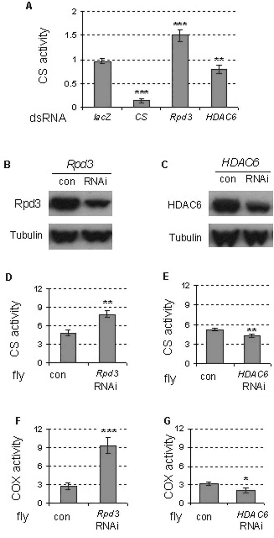 123fig3