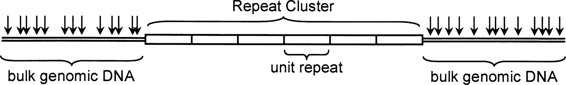 13fig1