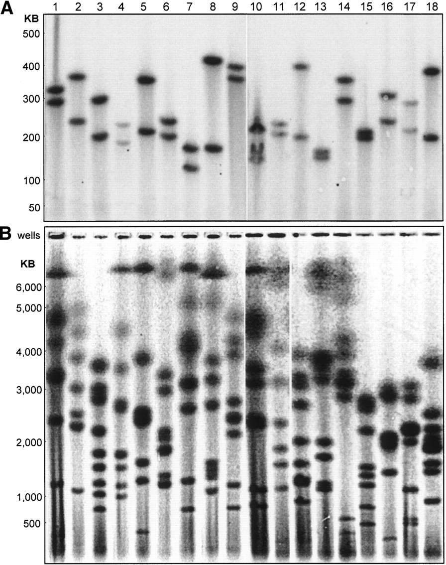 13fig2
