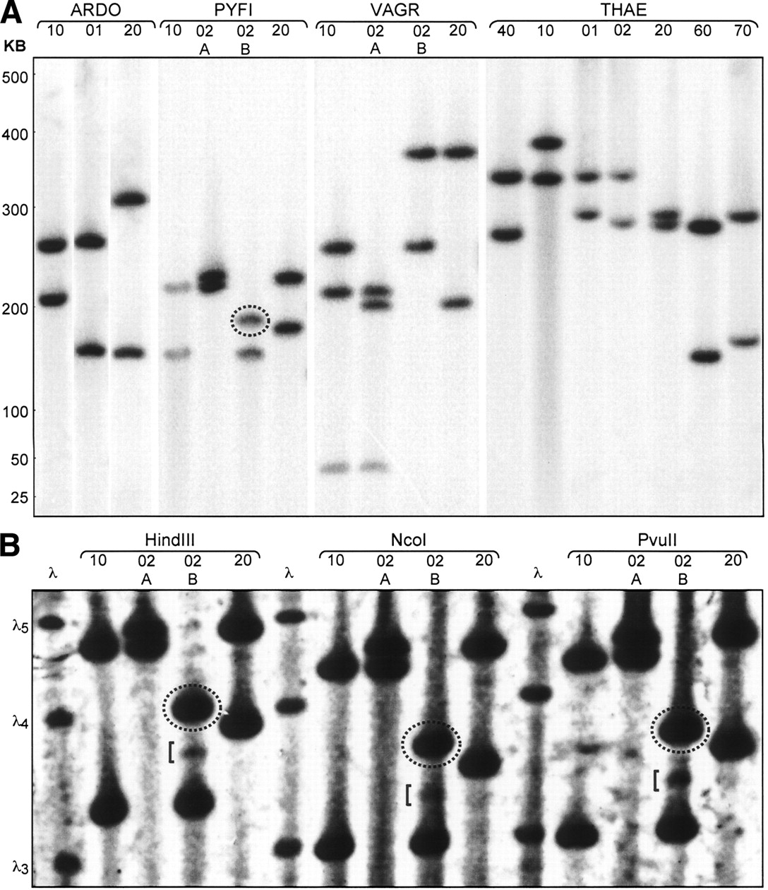 13fig3
