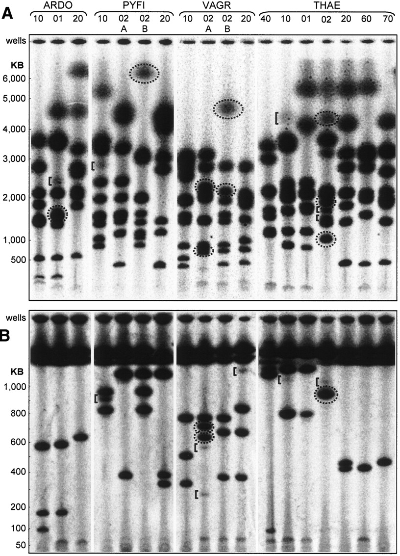 13fig4