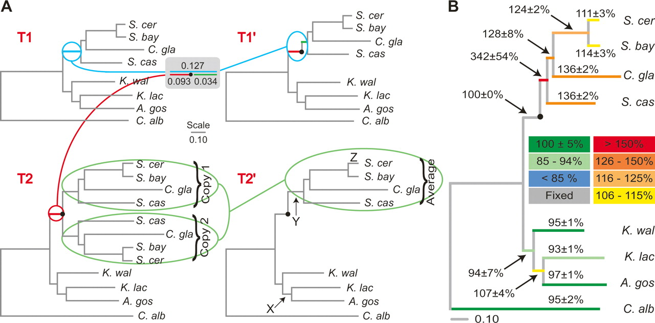 137fig1