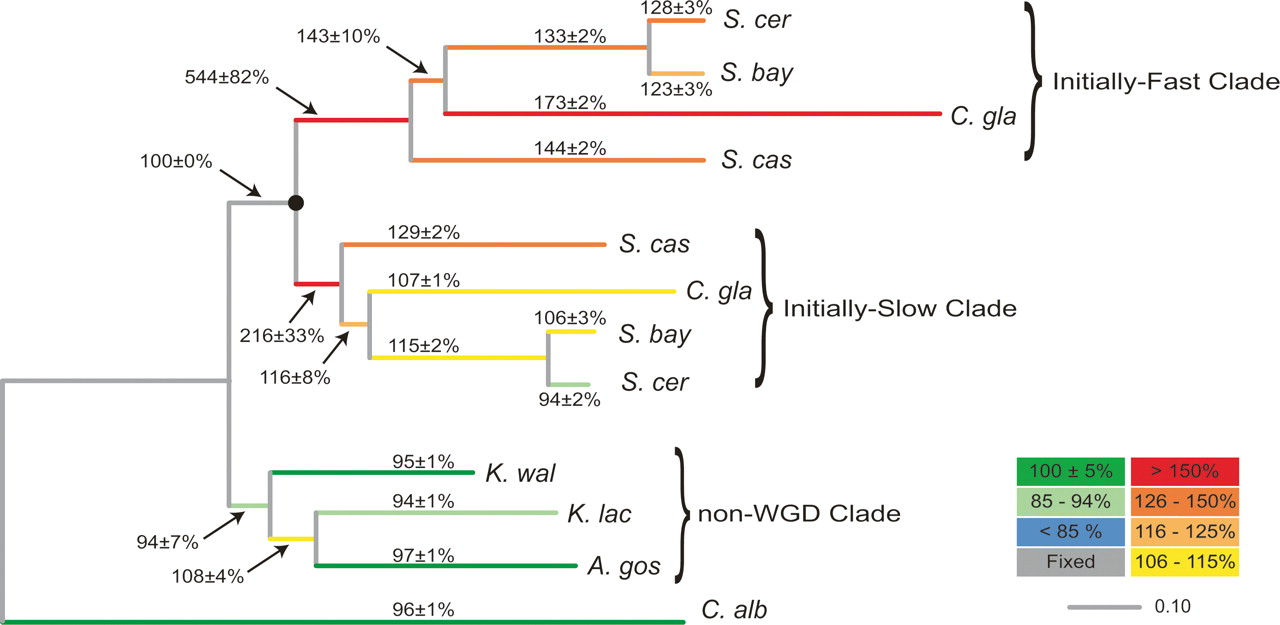 137fig2