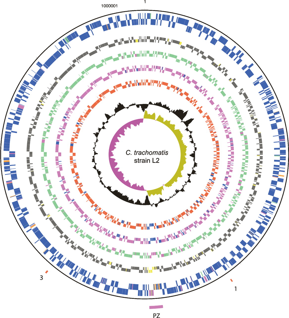 161fig1