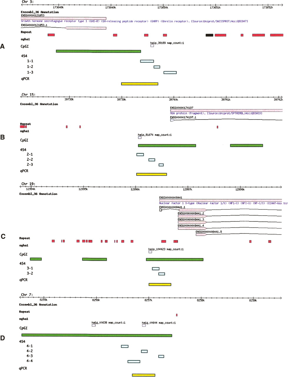 19fig1