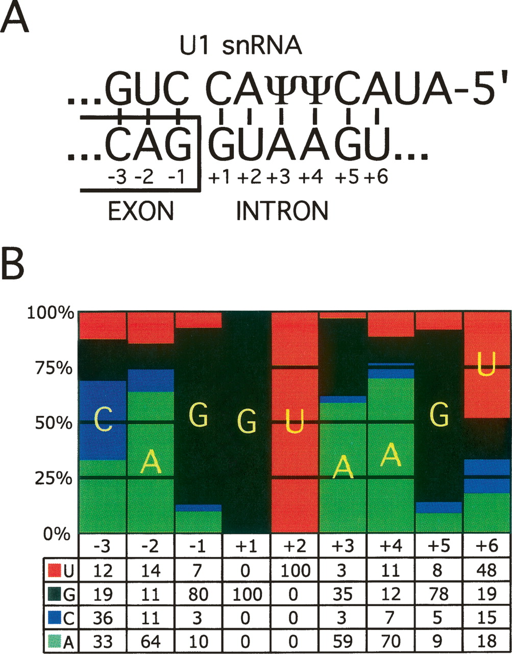 77fig1