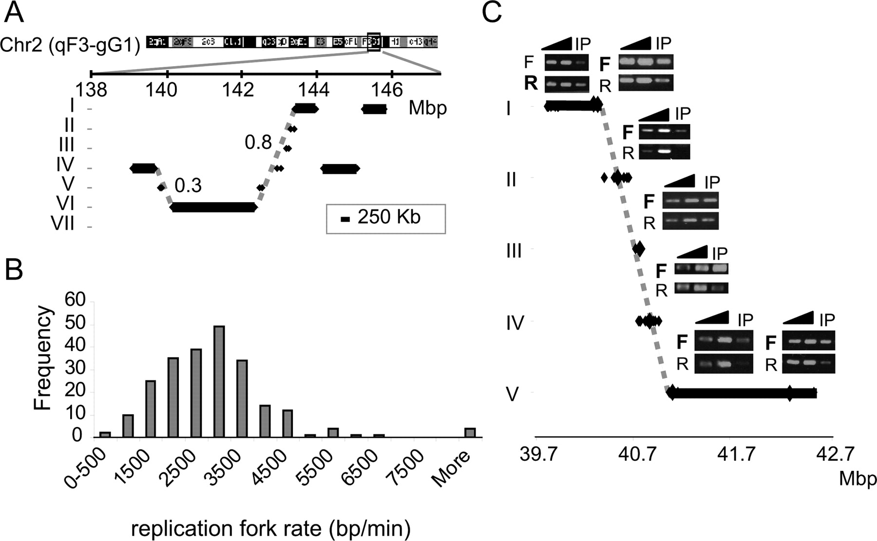 1562fig4