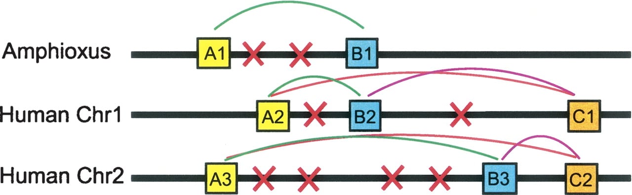 1582fig1