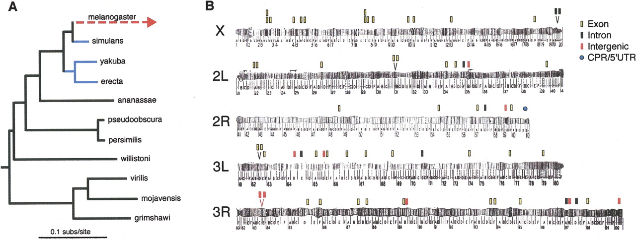 1592fig1