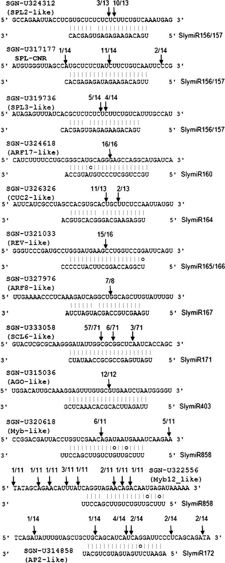 1602fig2