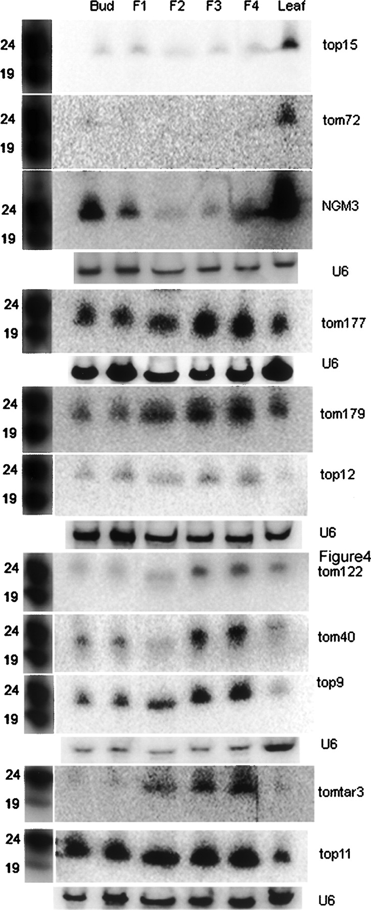 1602fig3