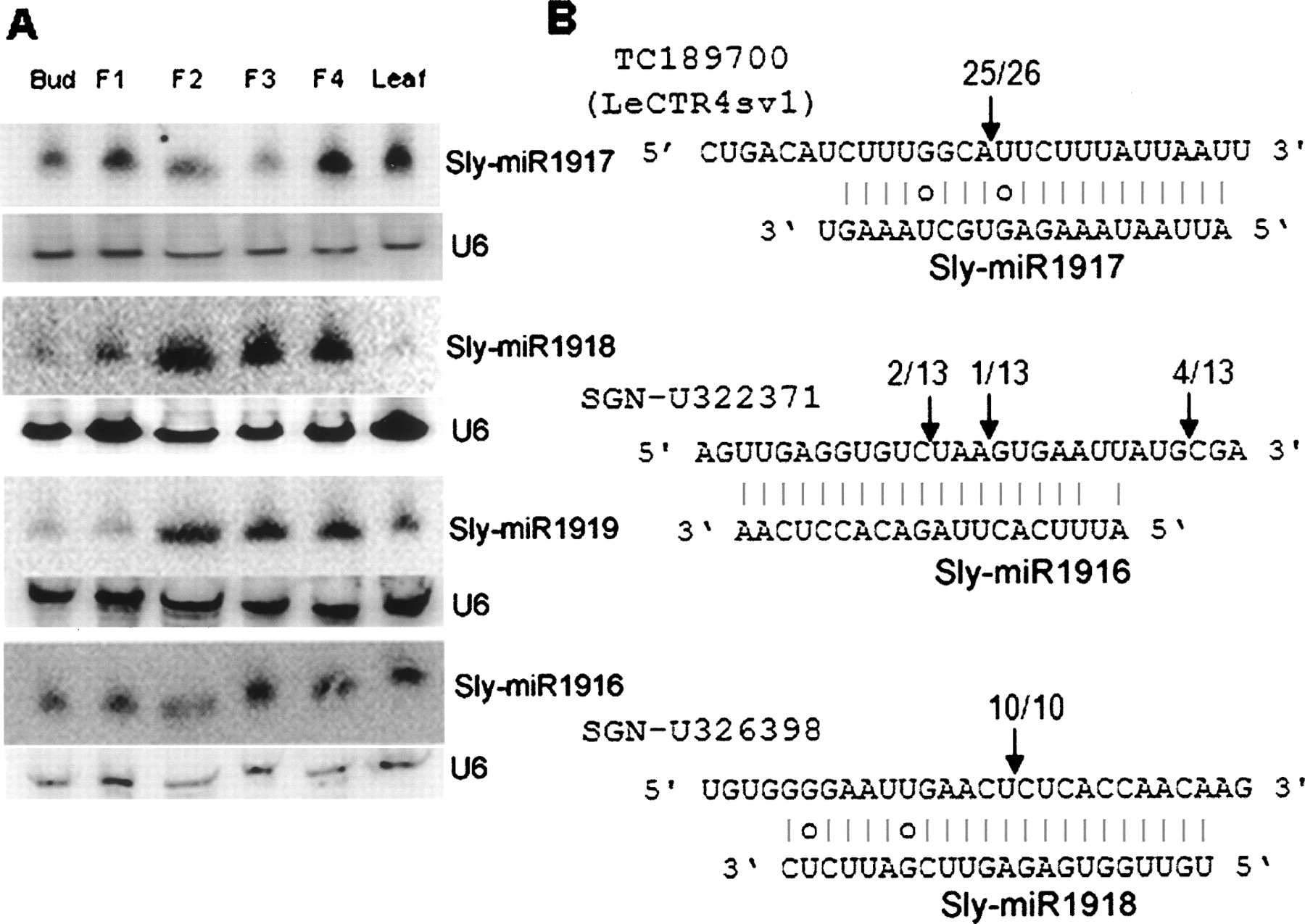 1602fig4
