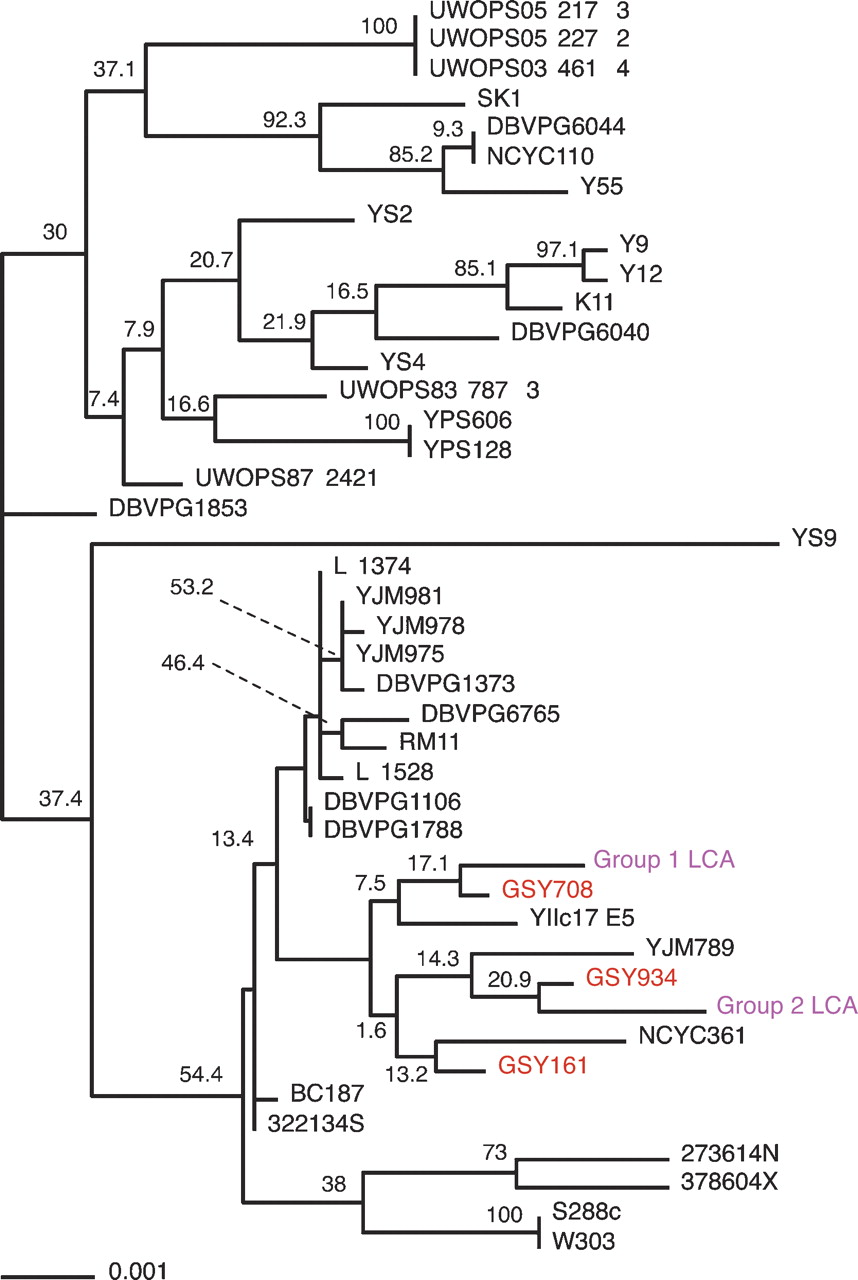 1610fig4