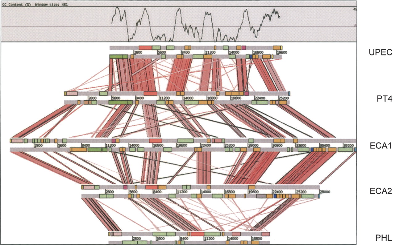 1624fig4