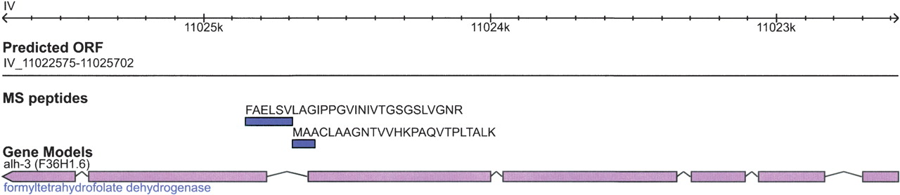 1660fig5