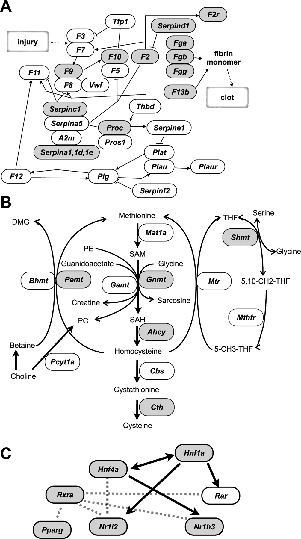 1969fig3
