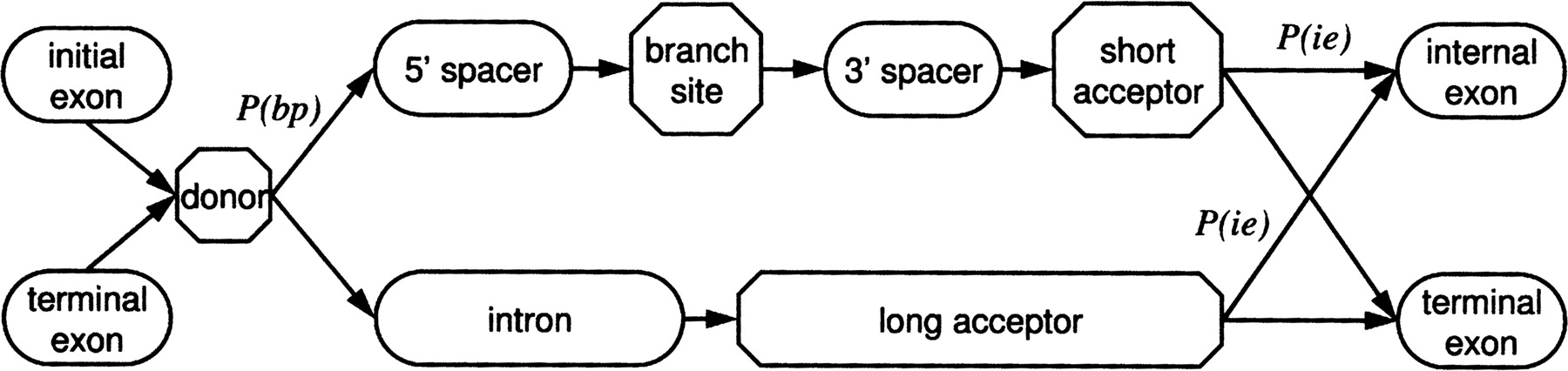 1979fig2