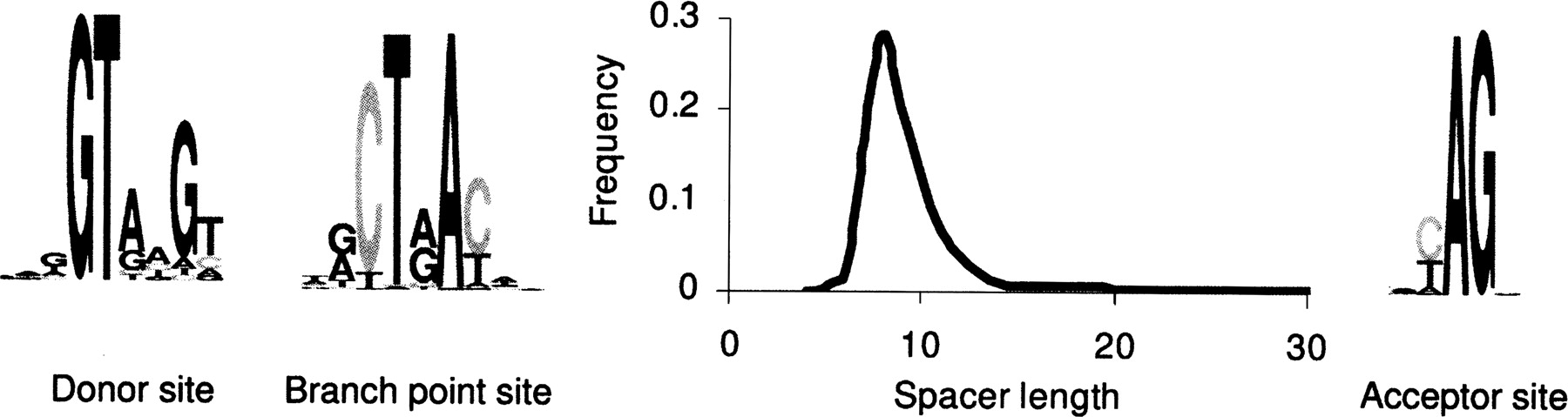 1979fig3