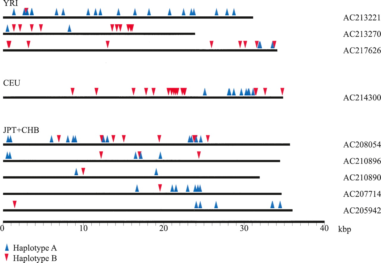 2016fig3