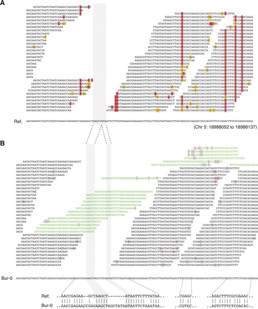 2024fig3