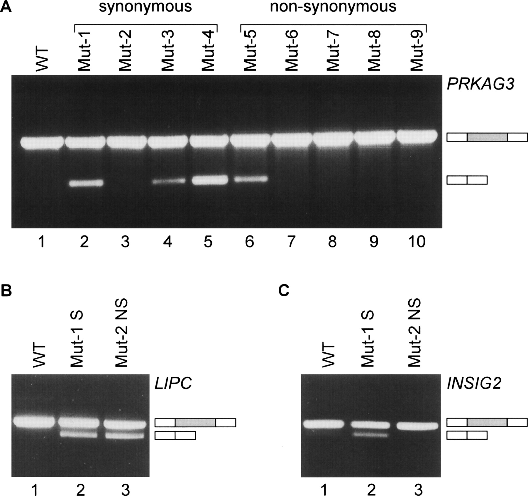 214fig4