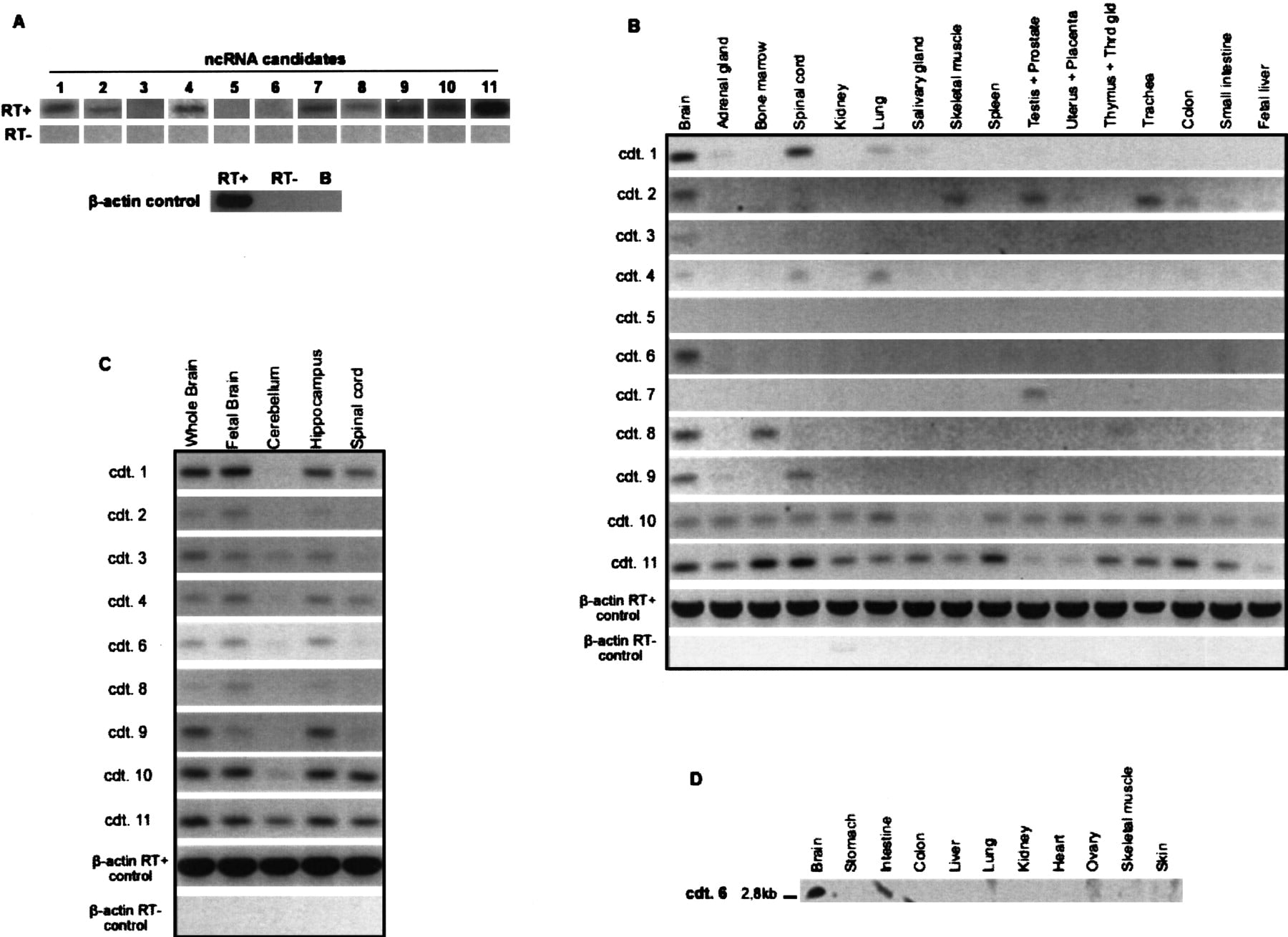 242fig4