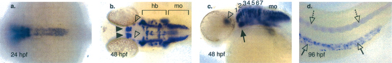 252fig1