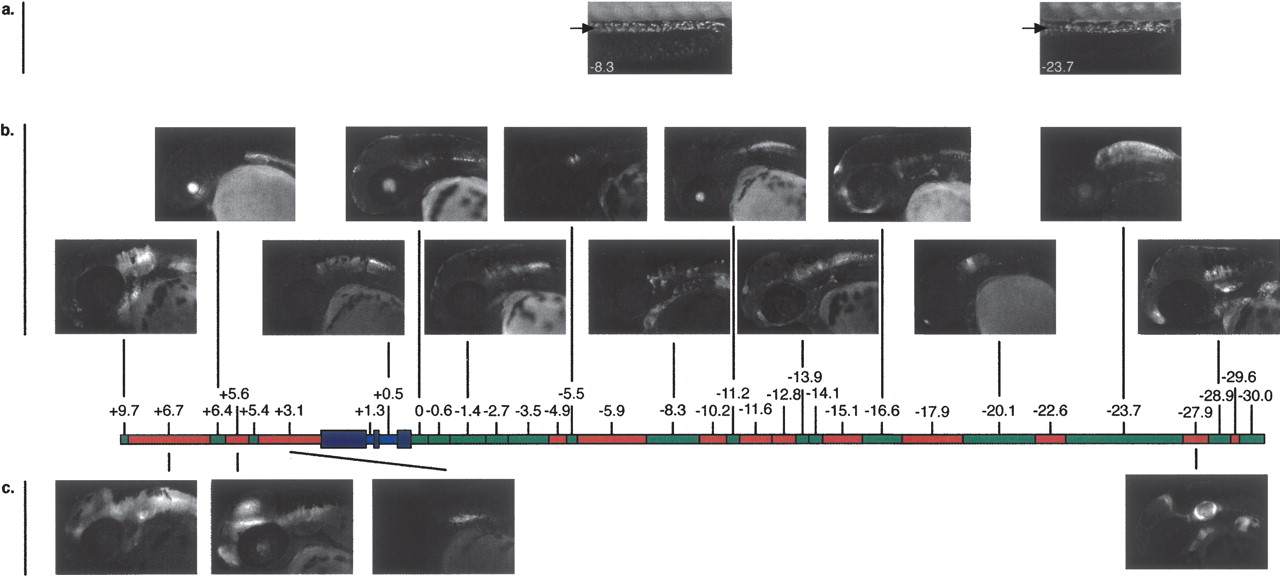 252fig3